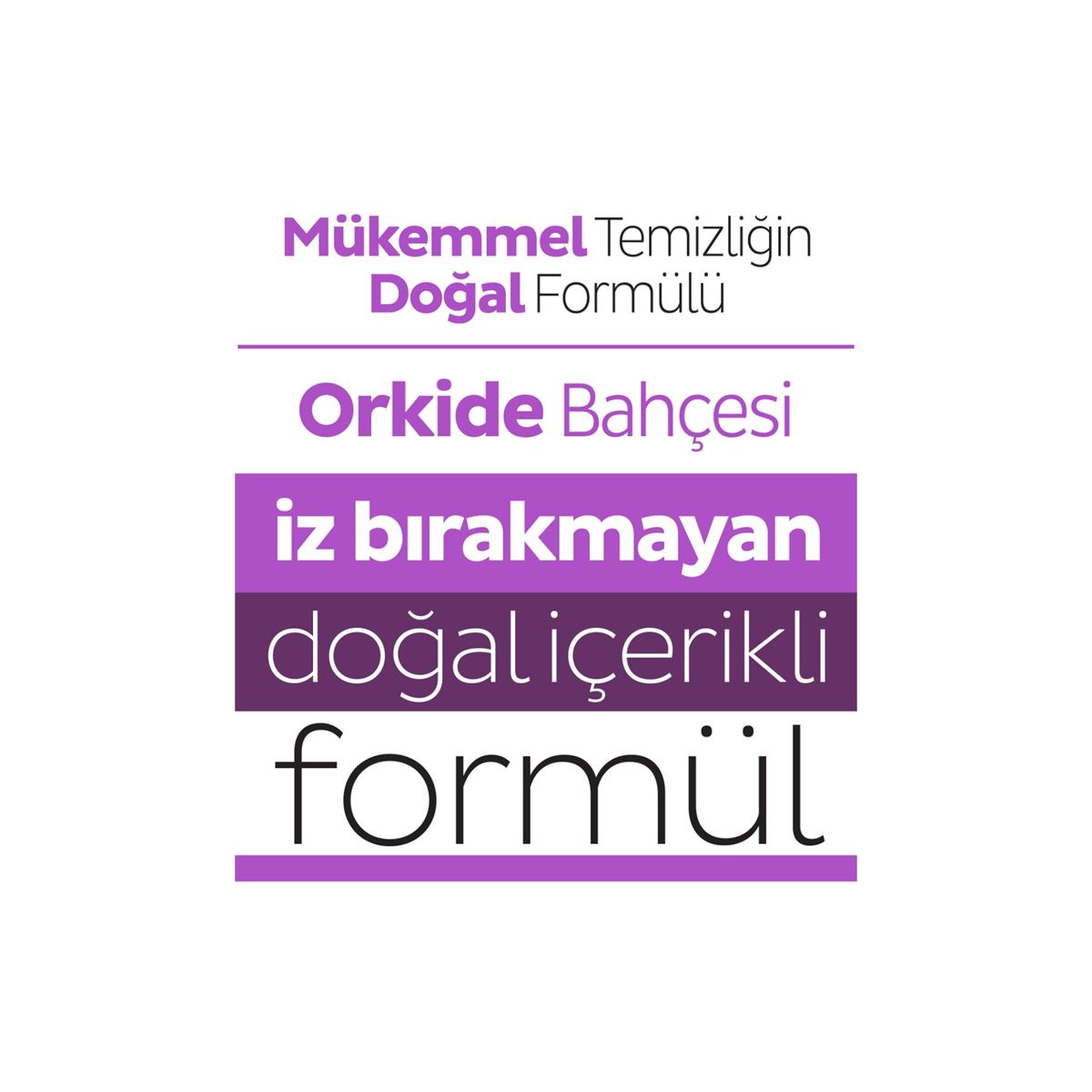 Sleepy Easy Clean Orkide Bahçesi Yüzey Temizlik Havlusu&Mendili 3x100 (300 Yaprak)